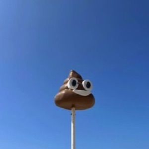 Cocktail des Flandes : Ypres, Ostende, Courtrai, Tourcoing et Lille 🇧🇪 🇫🇷